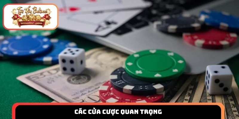 Các cửa cược quan trọng