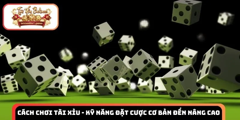 Cách chơi tài xỉu - Kỹ năng đặt cược cơ bản đến nâng cao cho tân thủ