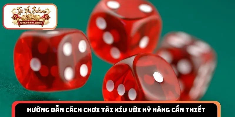 Hướng dẫn cách chơi tài xỉu với kỹ năng cần thiết