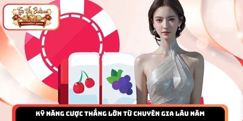 Kỹ năng cược thắng lớn từ chuyên gia lâu năm