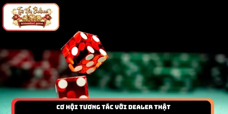 Tài xỉu livestream mở ra cơ hội tương tác với Dealer thật